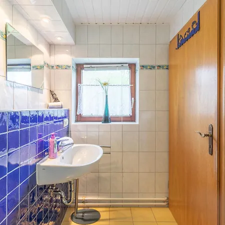 Kegelrobbe